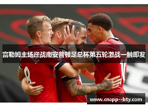 富勒姆主场迎战南安普顿足总杯第五轮激战一触即发 富勒姆主场迎战南安普顿足总杯第五轮激战一触即发