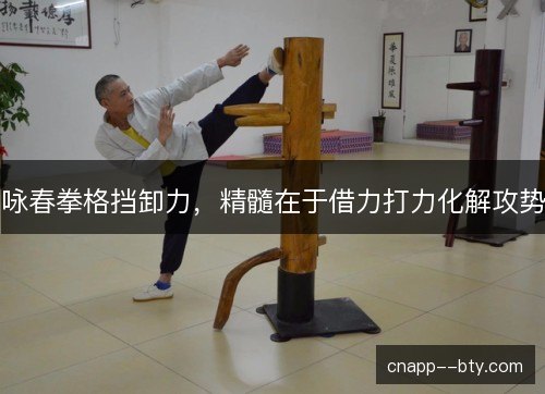 咏春拳格挡卸力，精髓在于借力打力化解攻势